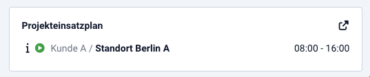 6 Projekteinsatzplan